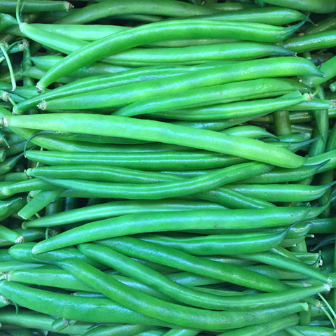 Beans (hand picked)