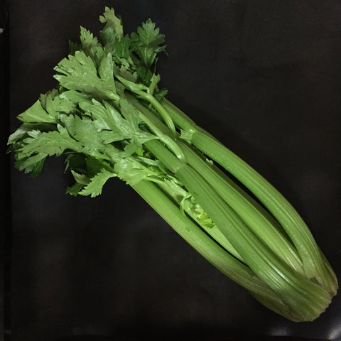 Celery