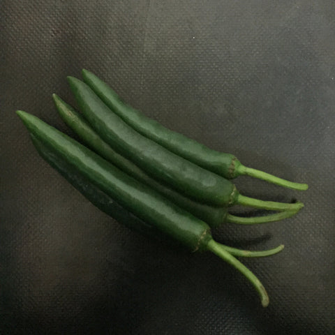 Chilli (Long Green)