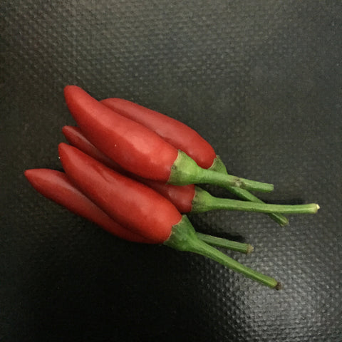 Chilli (Red Birdseye)