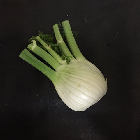 Fennel