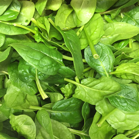 Lettuce (Prepacked Baby Spinach)