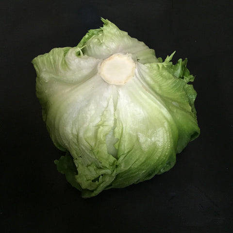 Lettuce (Iceberg)