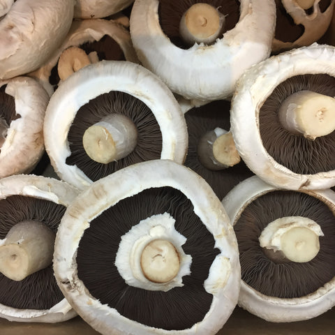 Mushrooms (Flat)