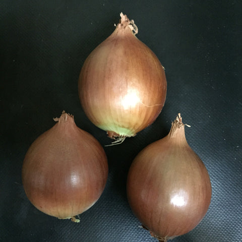 Onions (Brown)