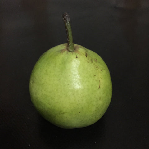 Pear (Josephine)