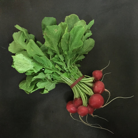 Radish