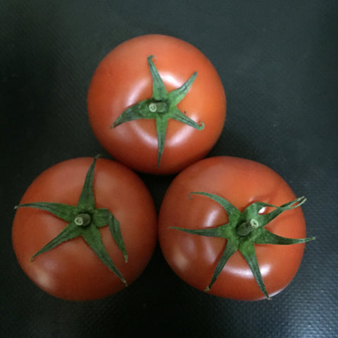 Tomato (Large S.A)