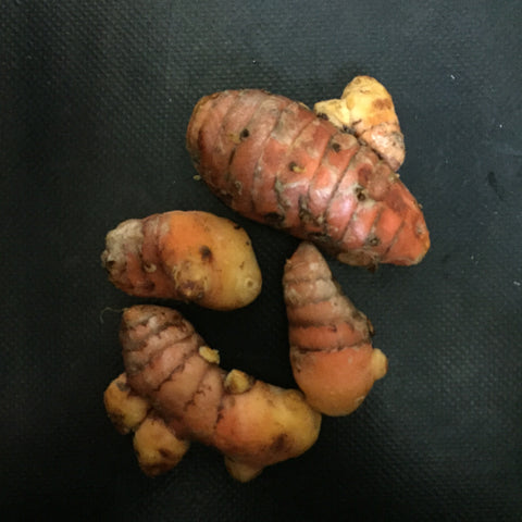 Turmeric