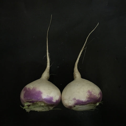 Turnips